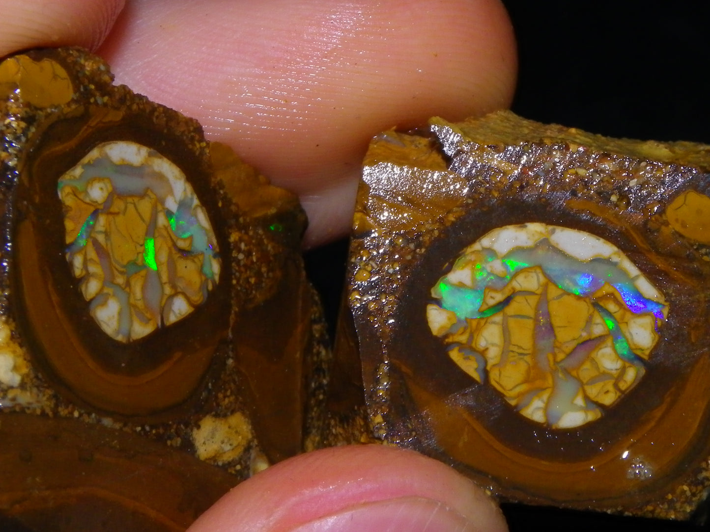 2 Nice Sliced Opalton/Nut Opal specimens 277cts Green Fire/Patterns Pairs