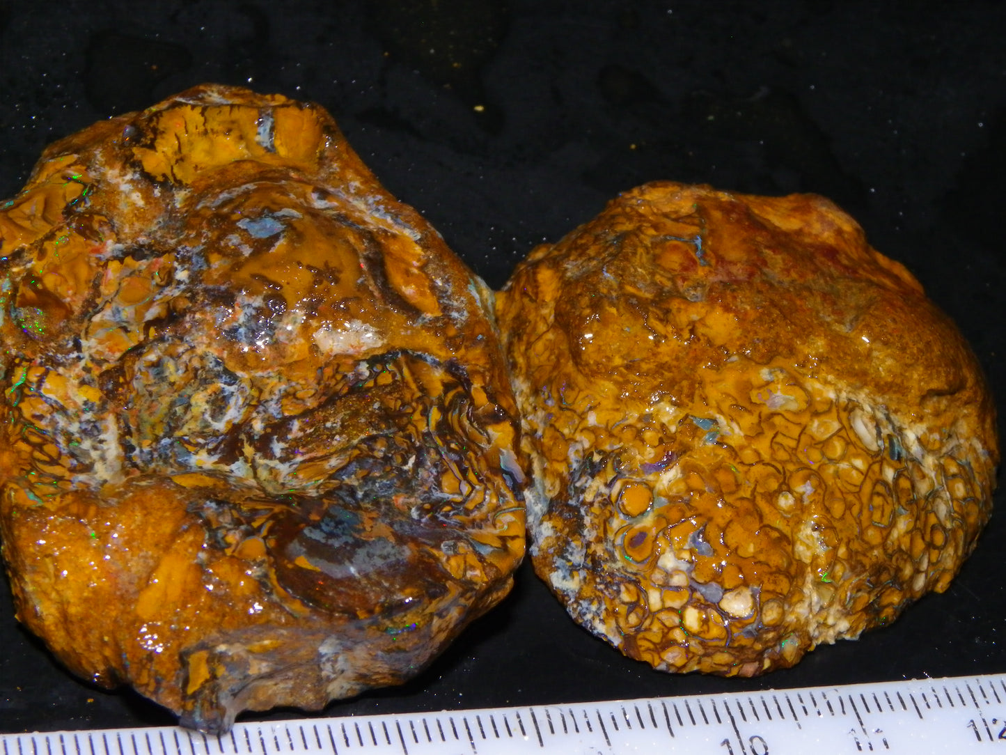 2 Nice Larger Rough/sliced Koroit Opals 476cts Queensland Australia Pattern/Fires :)