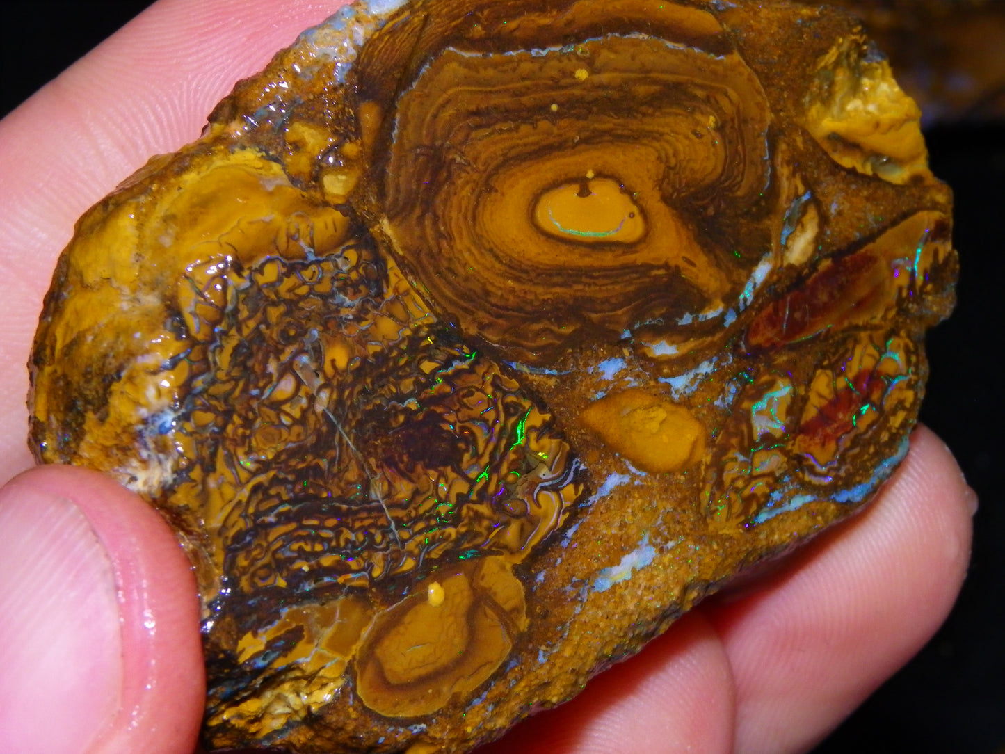 2 Nice Larger Rough/sliced Koroit Opals 476cts Queensland Australia Pattern/Fires :)