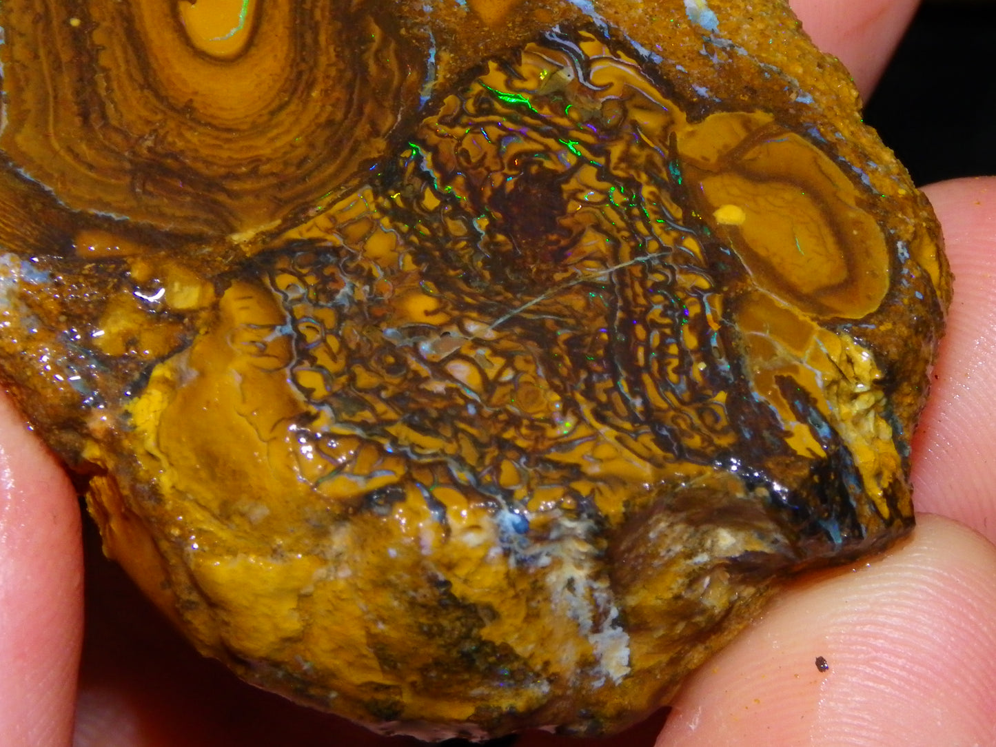 2 Nice Larger Rough/sliced Koroit Opals 476cts Queensland Australia Pattern/Fires :)