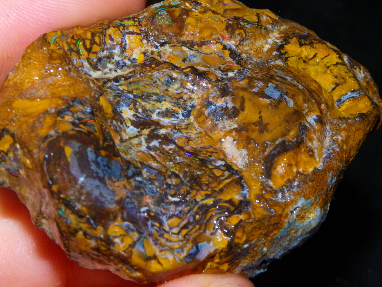 2 Nice Larger Rough/sliced Koroit Opals 476cts Queensland Australia Pattern/Fires :)