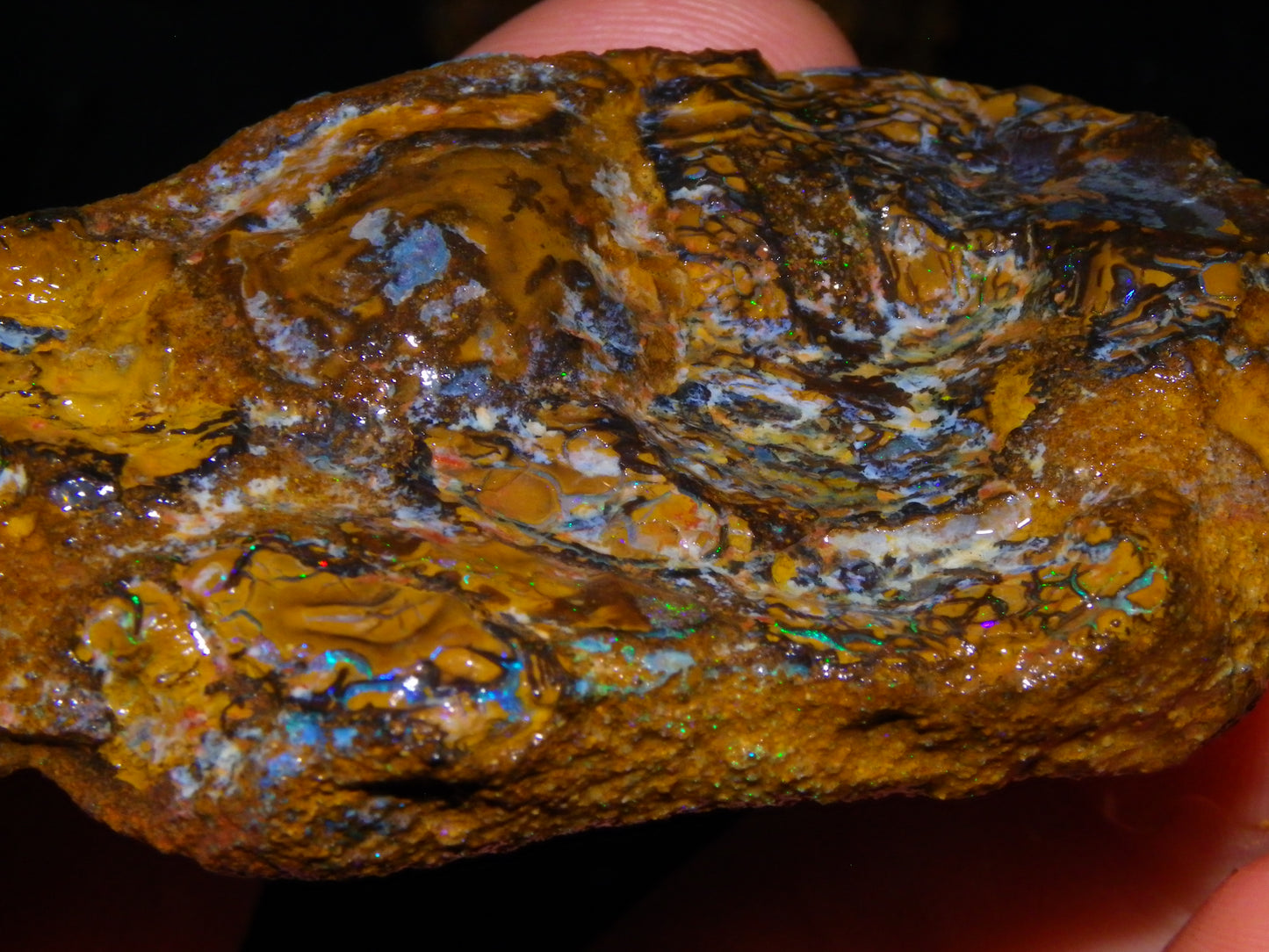 2 Nice Larger Rough/sliced Koroit Opals 476cts Queensland Australia Pattern/Fires :)