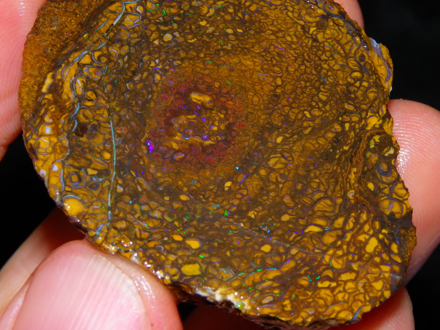 2 Nice Larger Rough/sliced Koroit Opals 476cts Queensland Australia Pattern/Fires :)