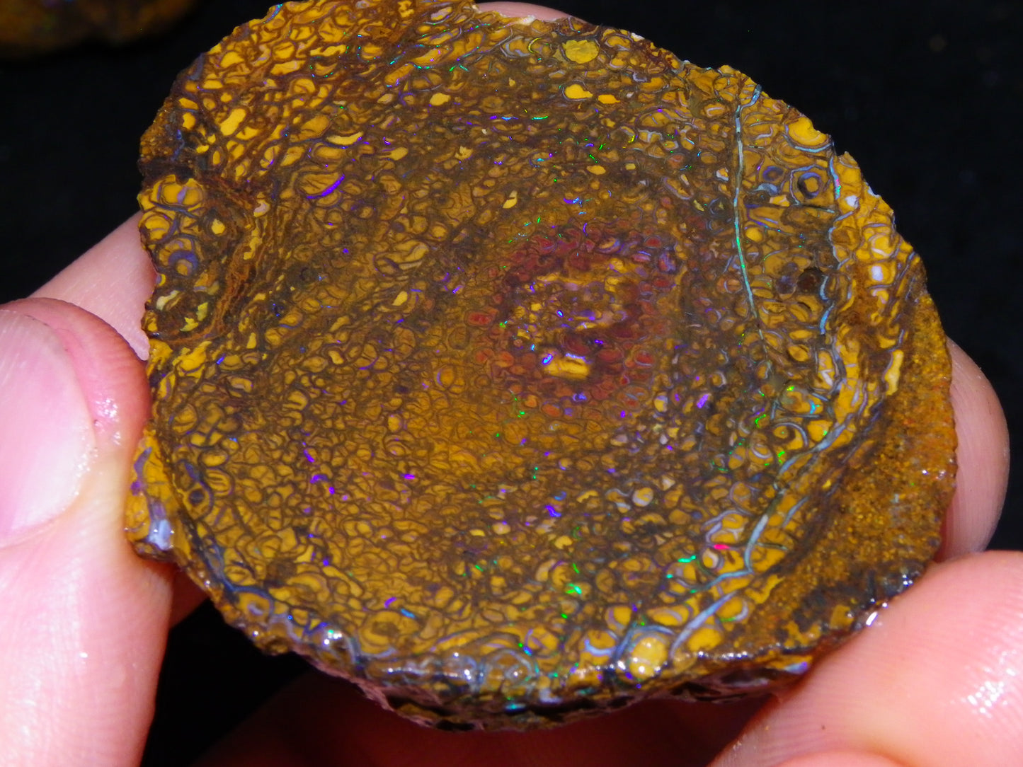 2 Nice Larger Rough/sliced Koroit Opals 476cts Queensland Australia Pattern/Fires :)