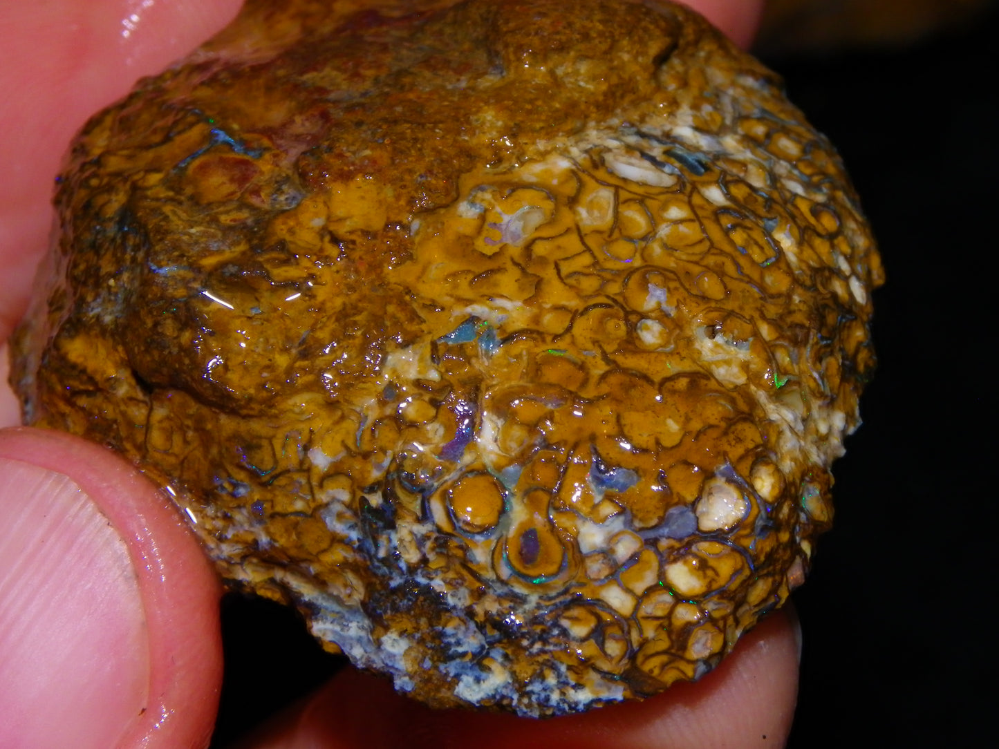 2 Nice Larger Rough/sliced Koroit Opals 476cts Queensland Australia Pattern/Fires :)
