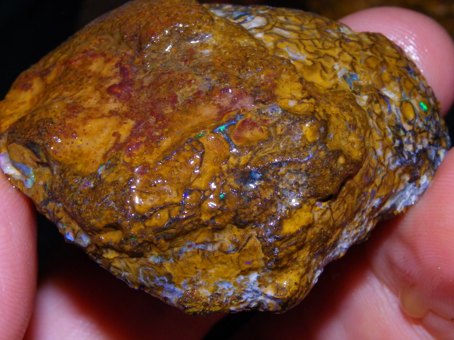 2 Nice Larger Rough/sliced Koroit Opals 476cts Queensland Australia Pattern/Fires :)