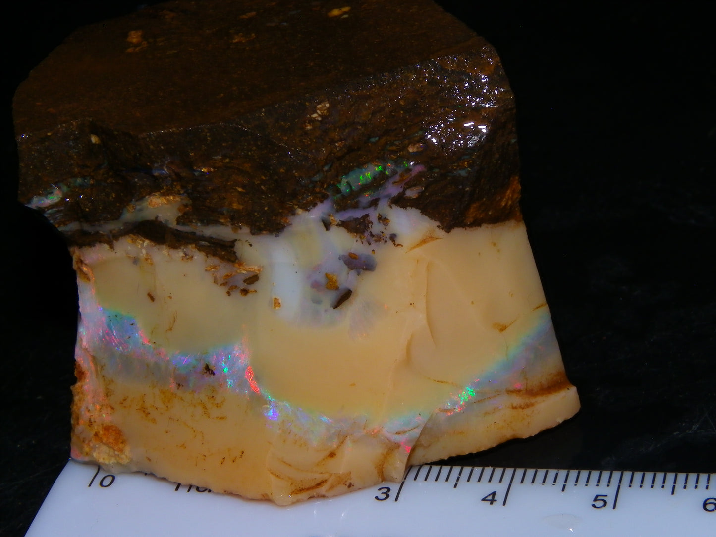 Nice Rough Boulder Opal split Specimen 693cts Ribbon of Fires across Caramel potch Winton
