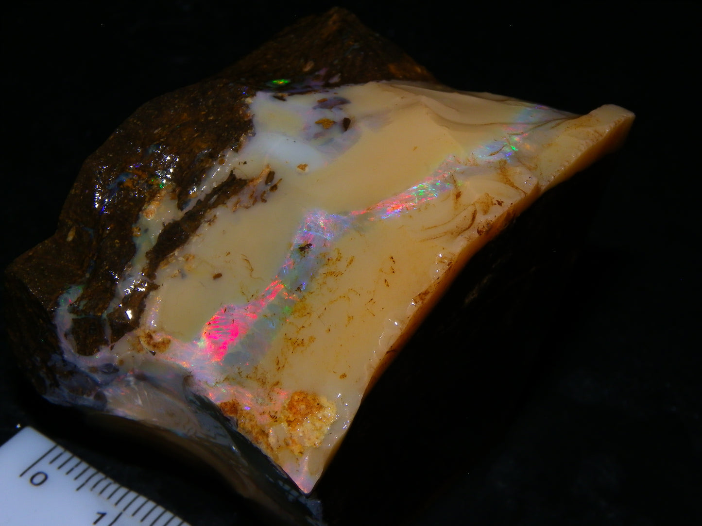 Nice Rough Boulder Opal split Specimen 693cts Ribbon of Fires across Caramel potch Winton