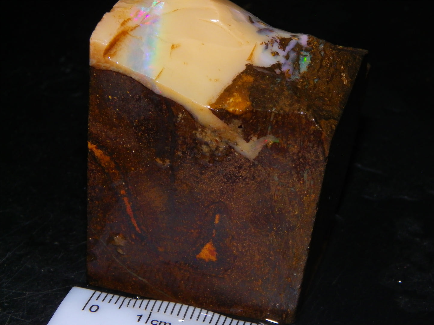Nice Rough Boulder Opal split Specimen 693cts Ribbon of Fires across Caramel potch Winton