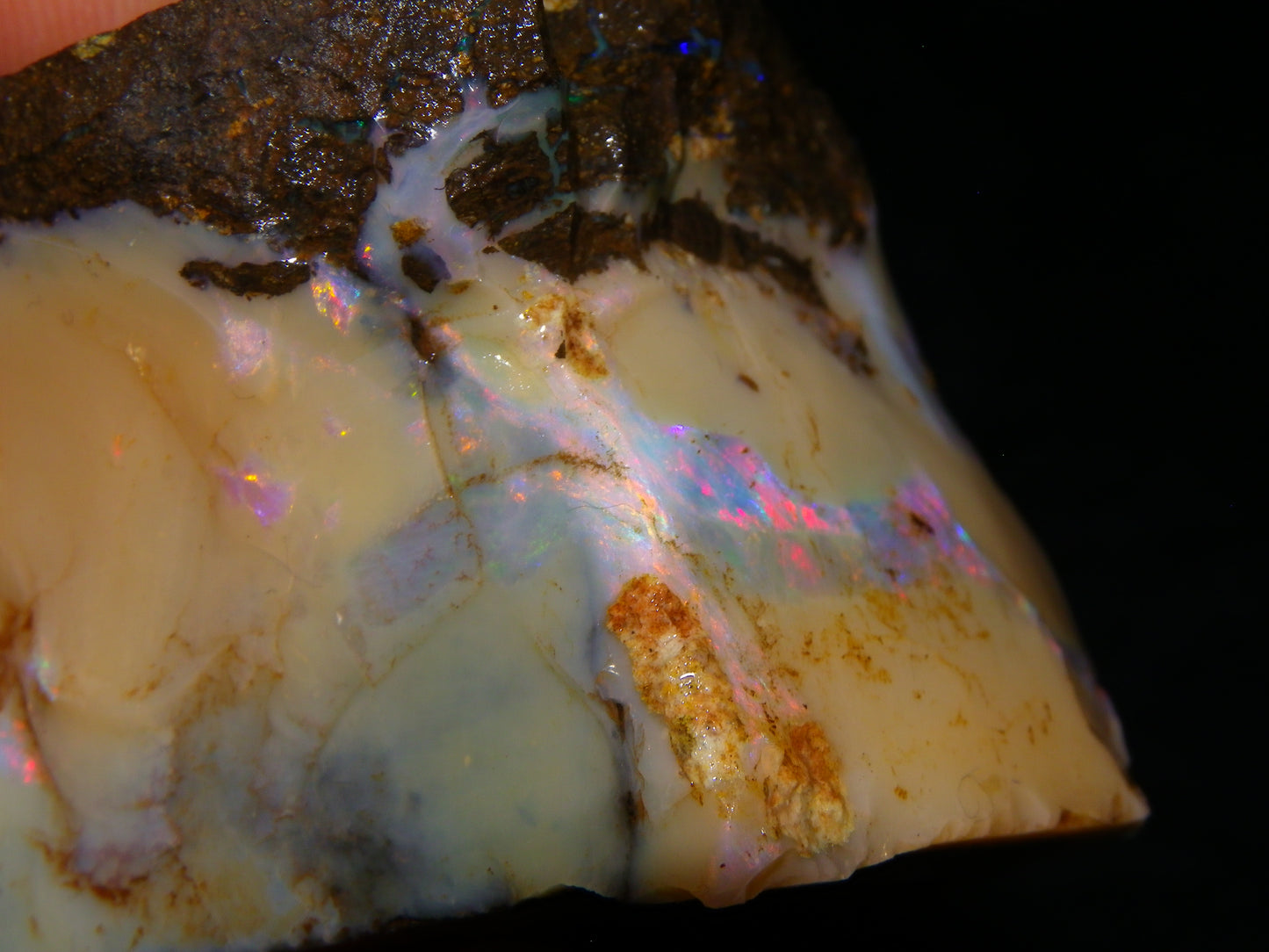Nice Rough Boulder Opal split Specimen 693cts Ribbon of Fires across Caramel potch Winton