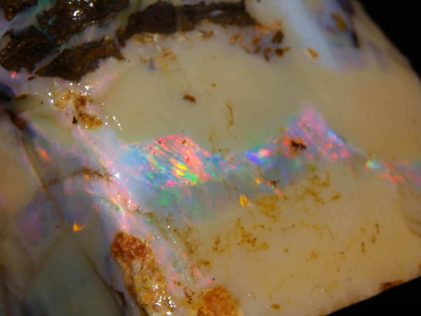 Nice Rough Boulder Opal split Specimen 693cts Ribbon of Fires across Caramel potch Winton