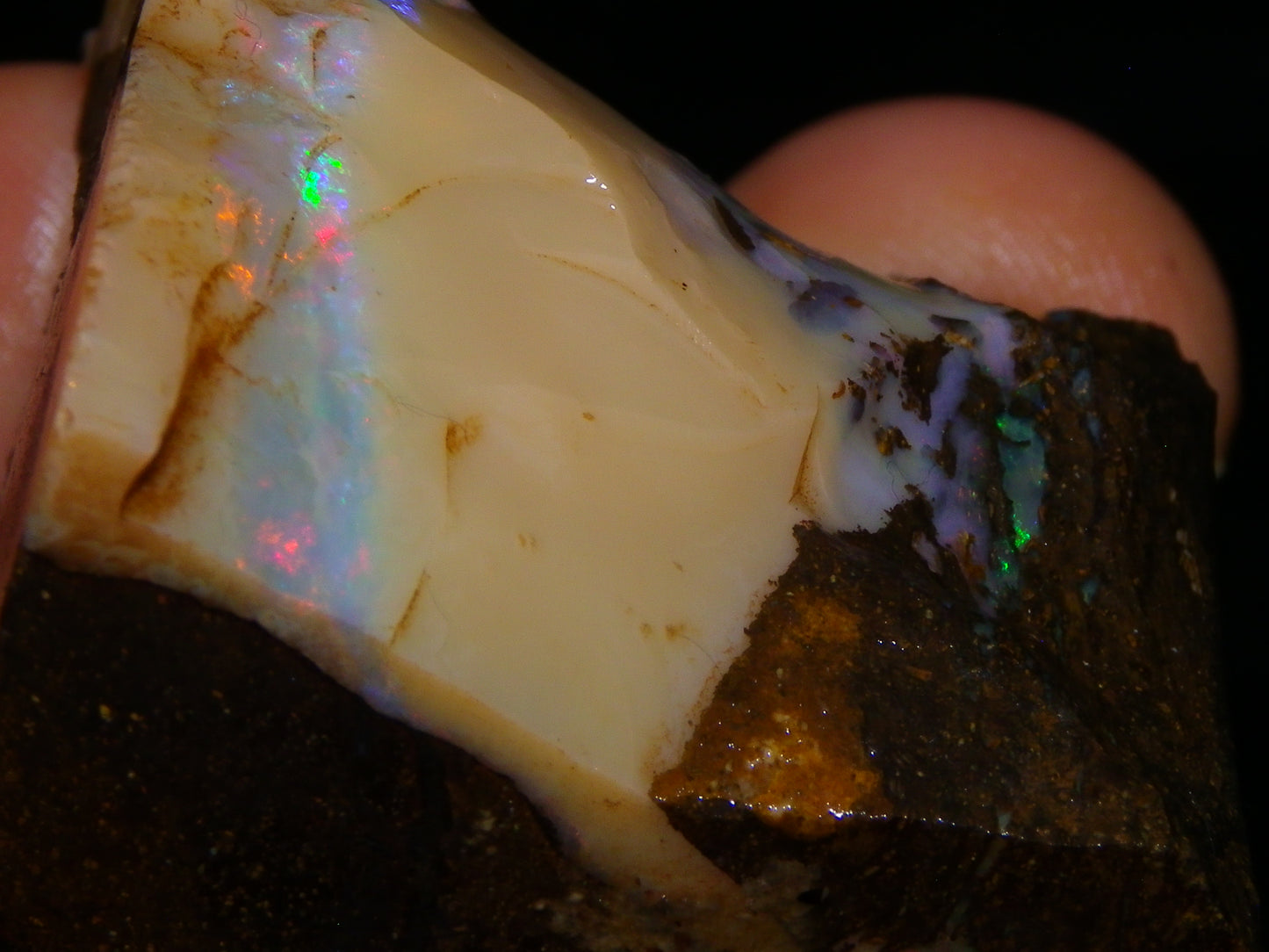 Nice Rough Boulder Opal split Specimen 693cts Ribbon of Fires across Caramel potch Winton