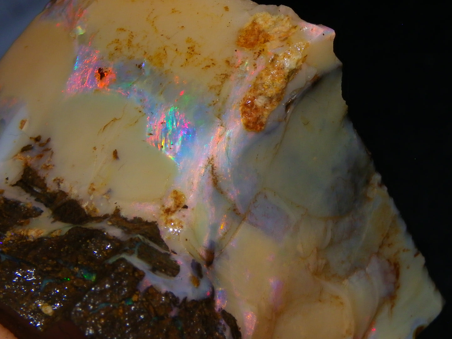 Nice Rough Boulder Opal split Specimen 693cts Ribbon of Fires across Caramel potch Winton