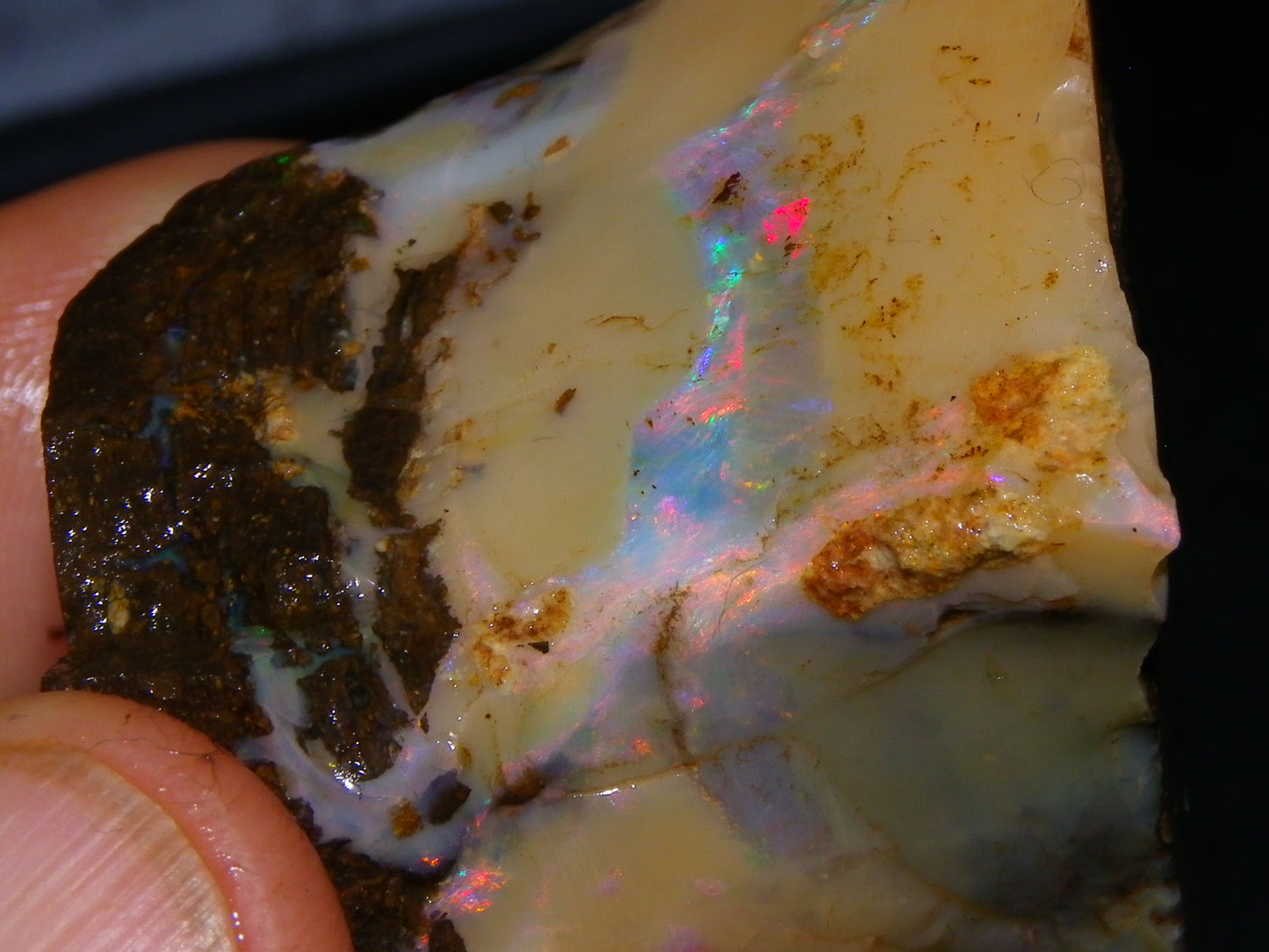 Nice Rough Boulder Opal split Specimen 693cts Ribbon of Fires across Caramel potch Winton