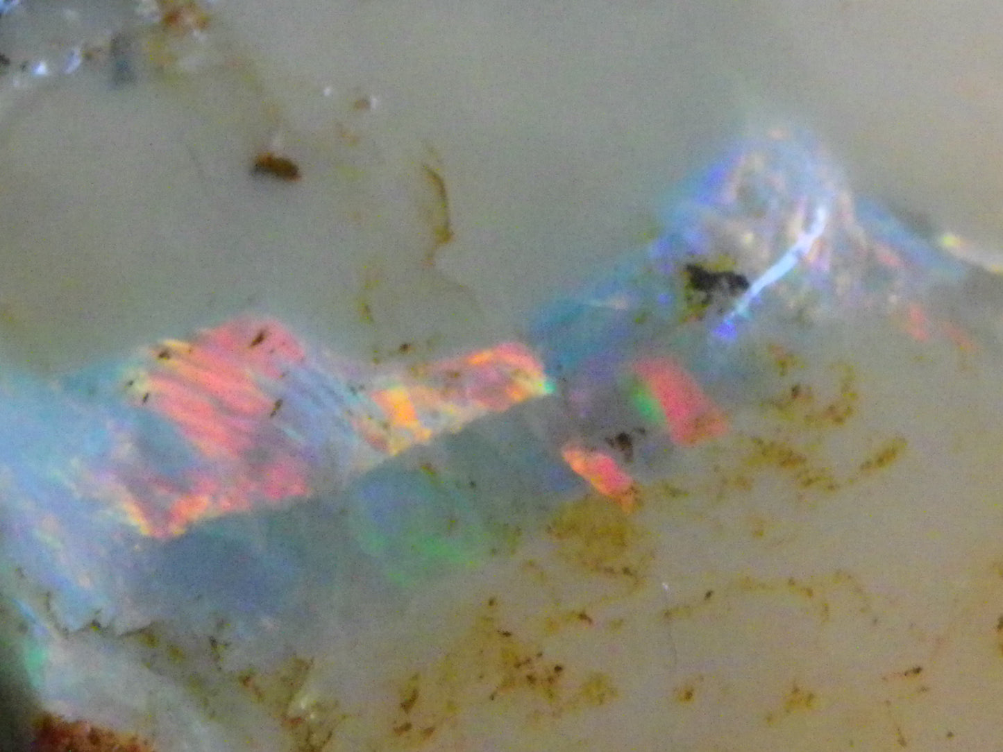 Nice Rough Boulder Opal split Specimen 693cts Ribbon of Fires across Caramel potch Winton