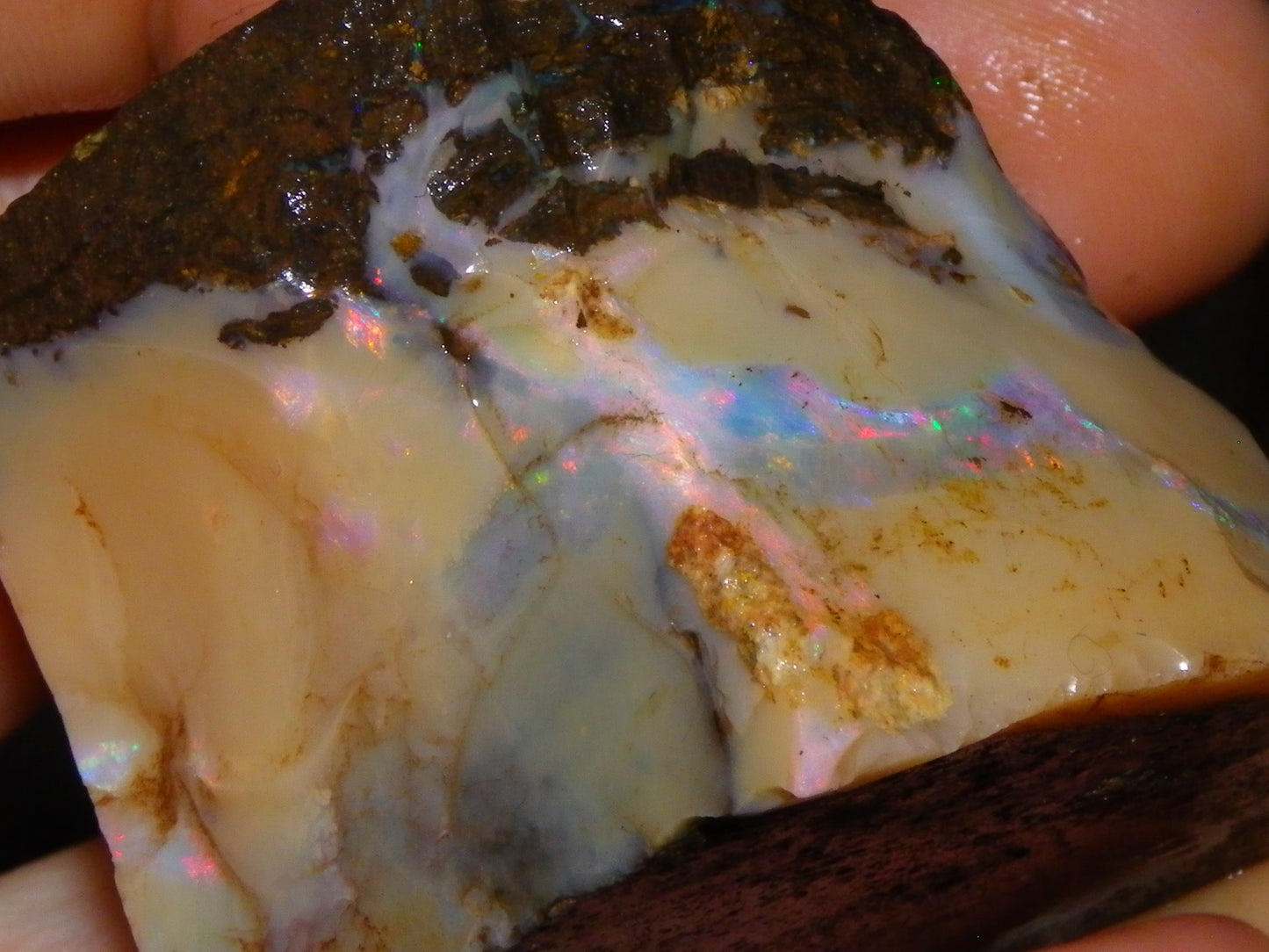 Nice Rough Boulder Opal split Specimen 693cts Ribbon of Fires across Caramel potch Winton