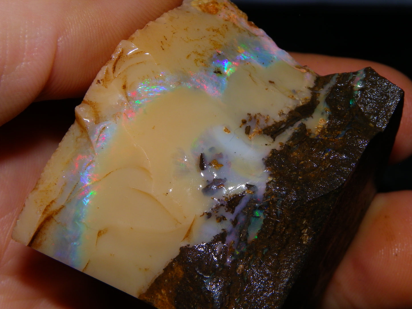 Nice Rough Boulder Opal split Specimen 693cts Ribbon of Fires across Caramel potch Winton