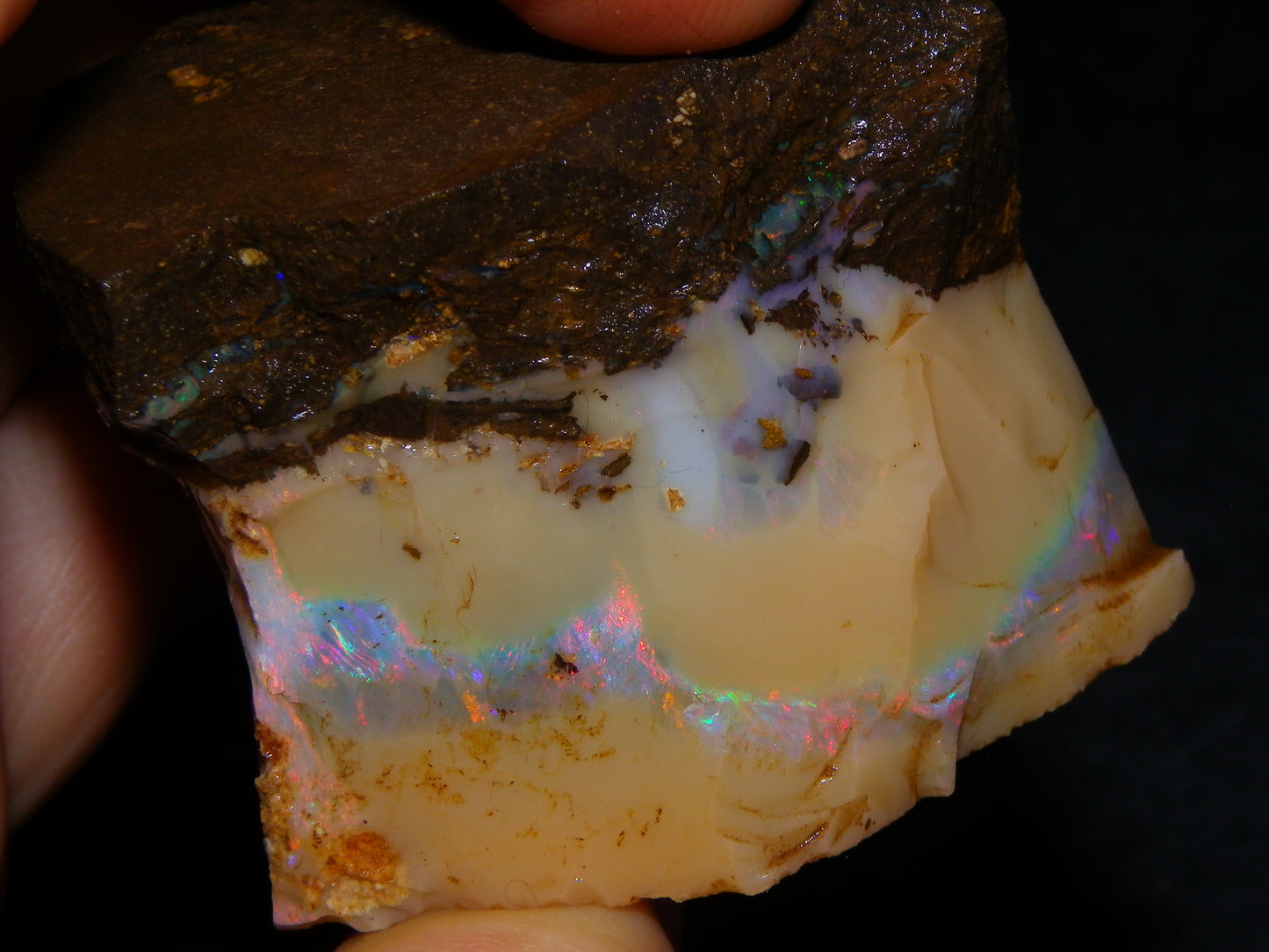 Nice Rough Boulder Opal split Specimen 693cts Ribbon of Fires across Caramel potch Winton