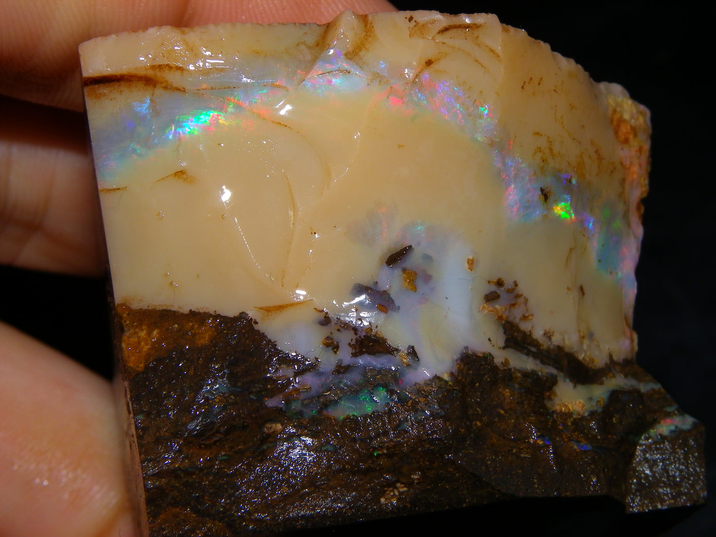 Nice Rough Boulder Opal split Specimen 693cts Ribbon of Fires across Caramel potch Winton