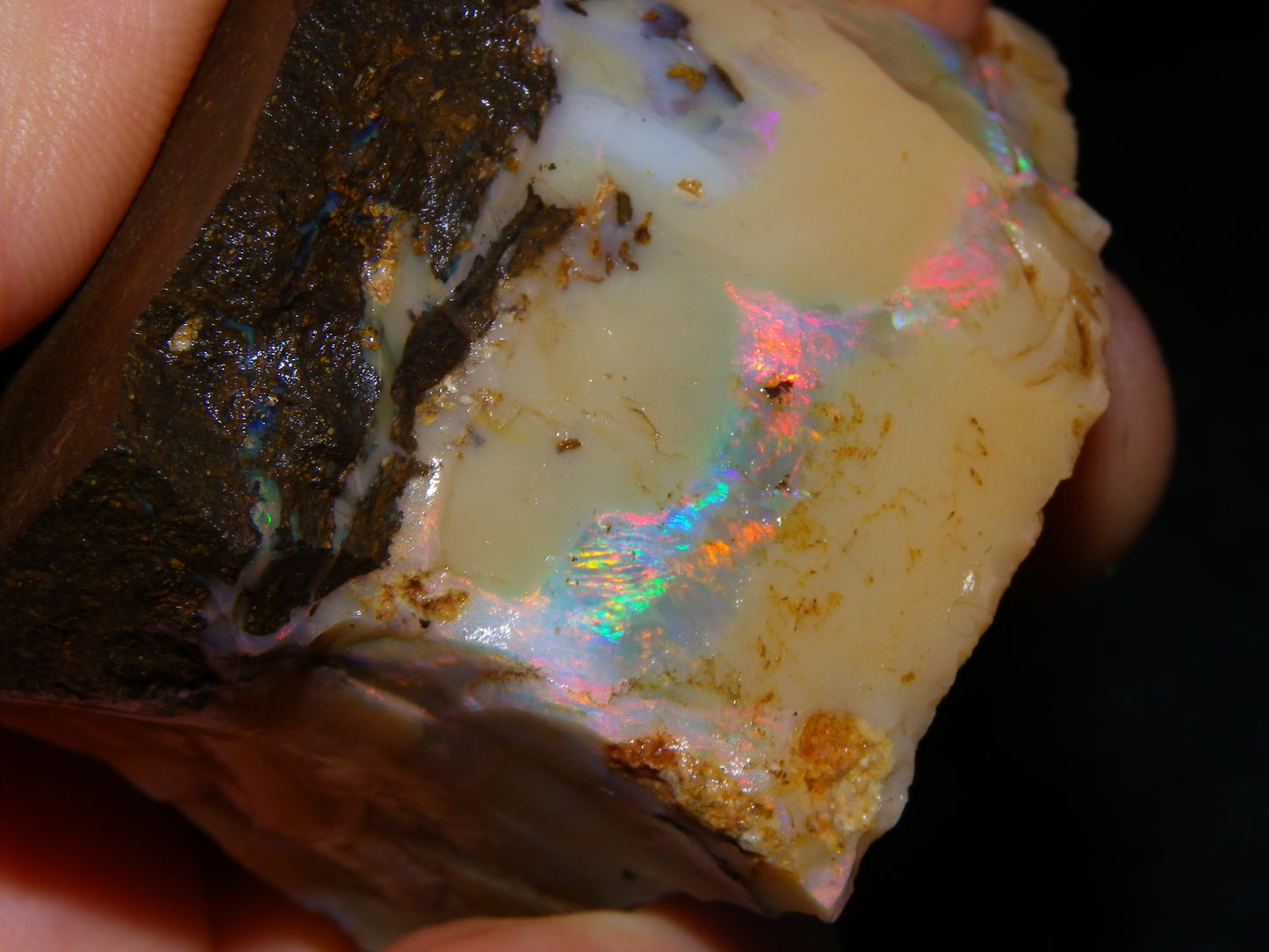 Nice Rough Boulder Opal split Specimen 693cts Ribbon of Fires across Caramel potch Winton
