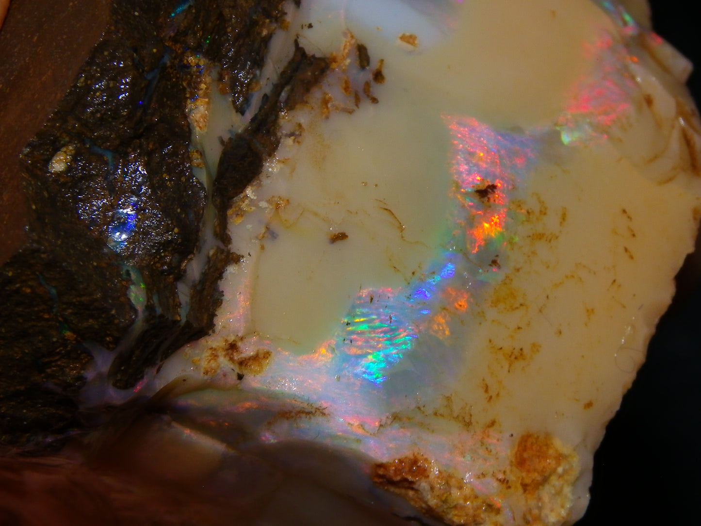 Nice Rough Boulder Opal split Specimen 693cts Ribbon of Fires across Caramel potch Winton