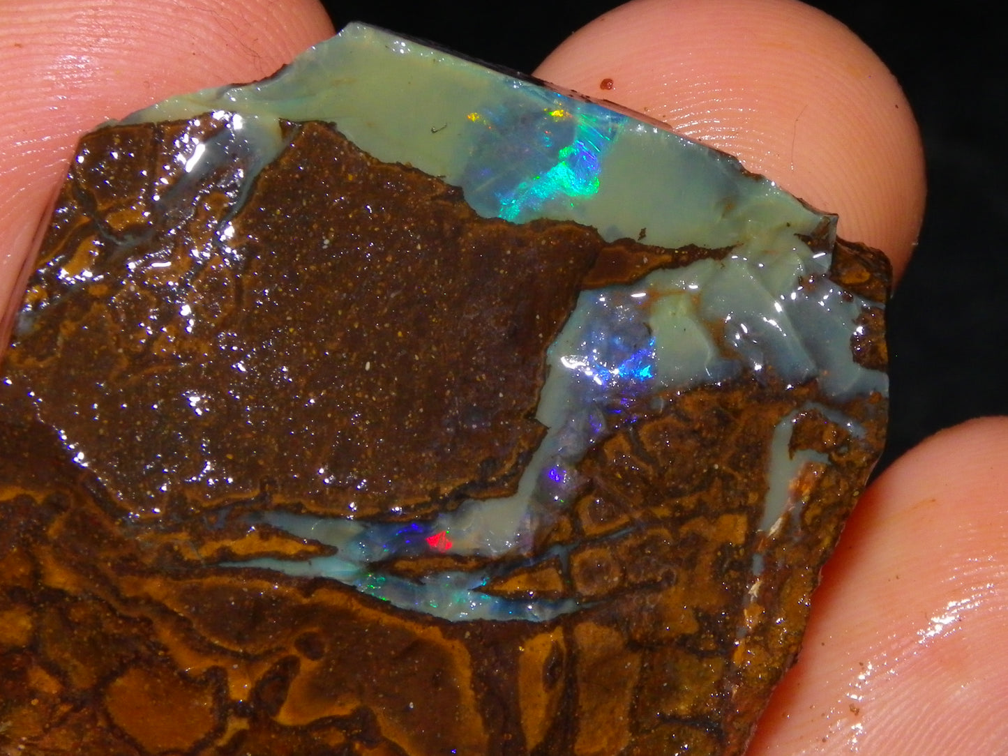 3 Nice Rough/Sliced Boulder Opals 985cts Winton Queensland Blue/Green/Pinks Australia