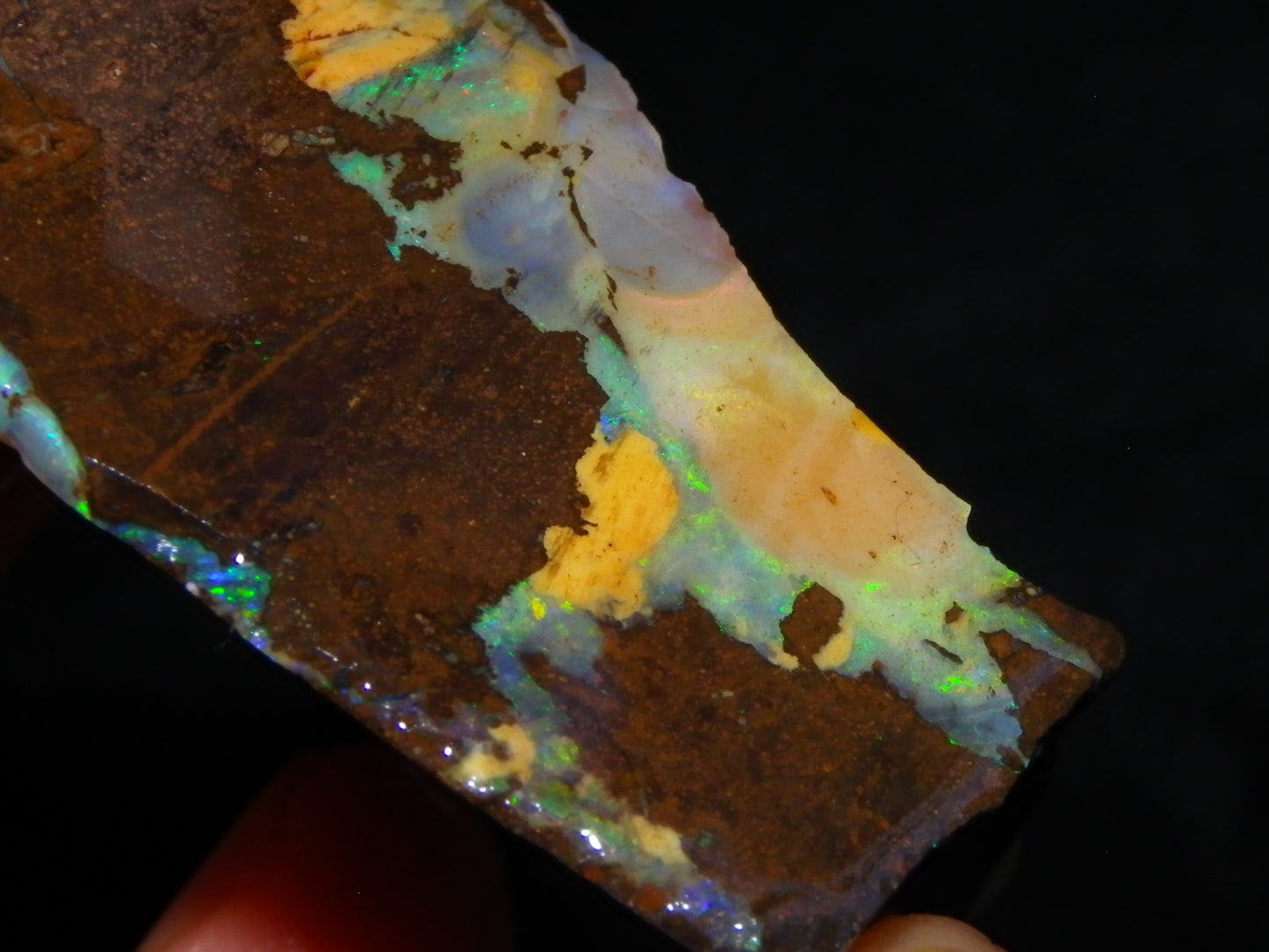 3 Nice Rough/Sliced Boulder Opals 985cts Winton Queensland Blue/Green/Pinks Australia