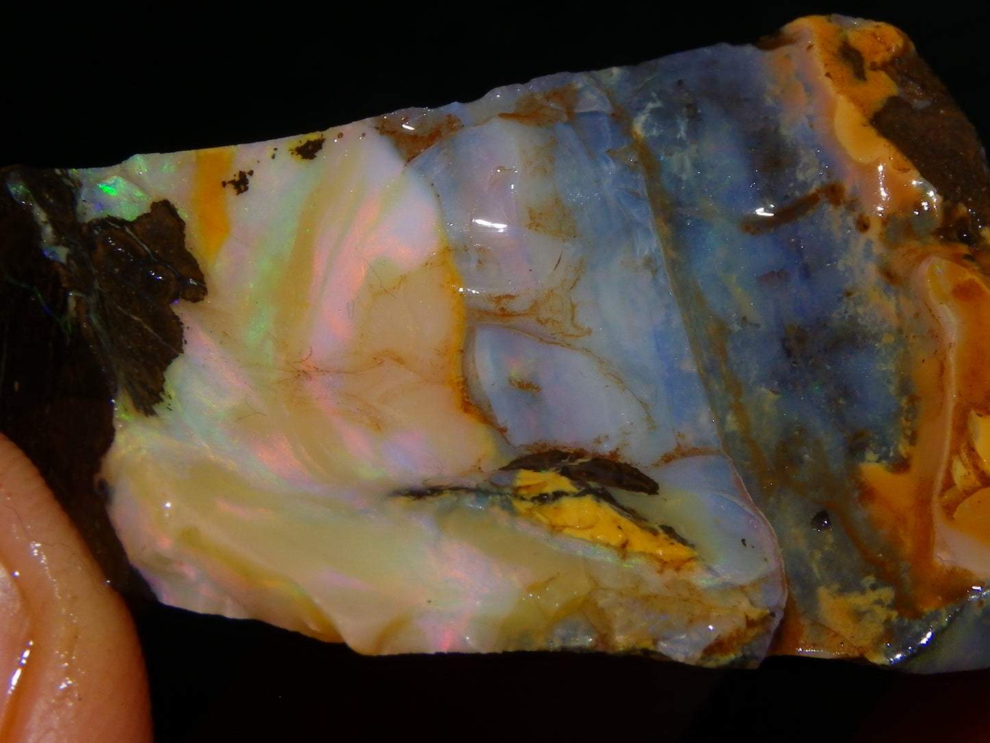 3 Nice Rough/Sliced Boulder Opals 985cts Winton Queensland Blue/Green/Pinks Australia