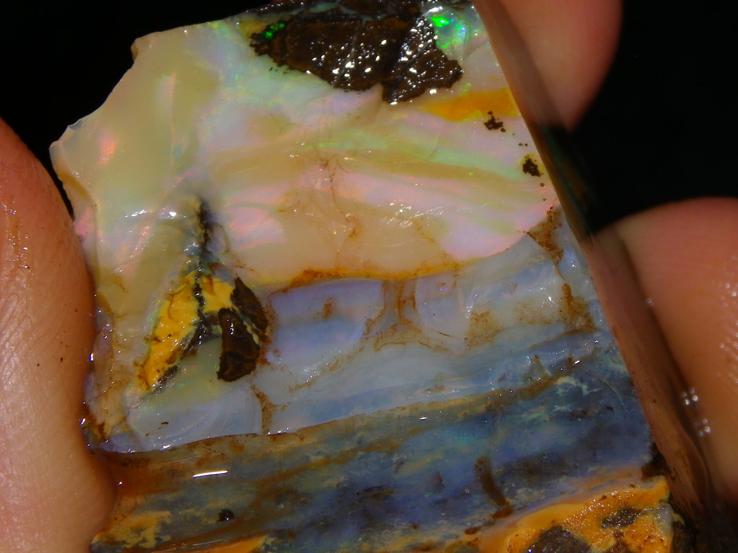 3 Nice Rough/Sliced Boulder Opals 985cts Winton Queensland Blue/Green/Pinks Australia