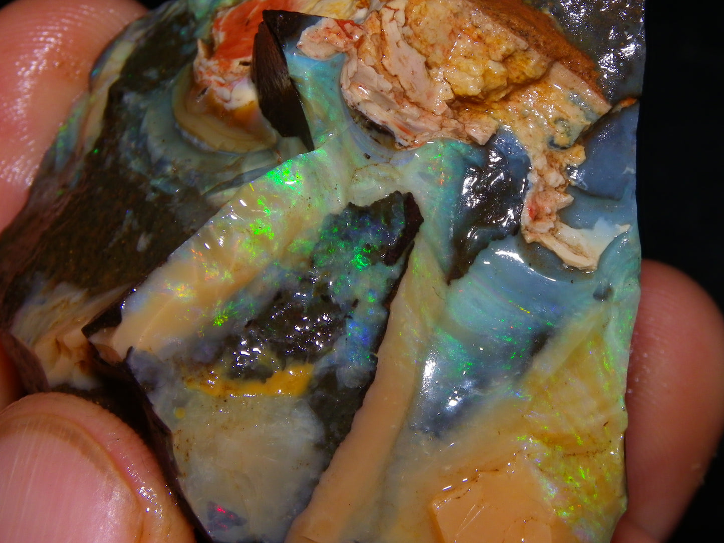 3 Nice Rough/Sliced Boulder Opals 985cts Winton Queensland Blue/Green/Pinks Australia