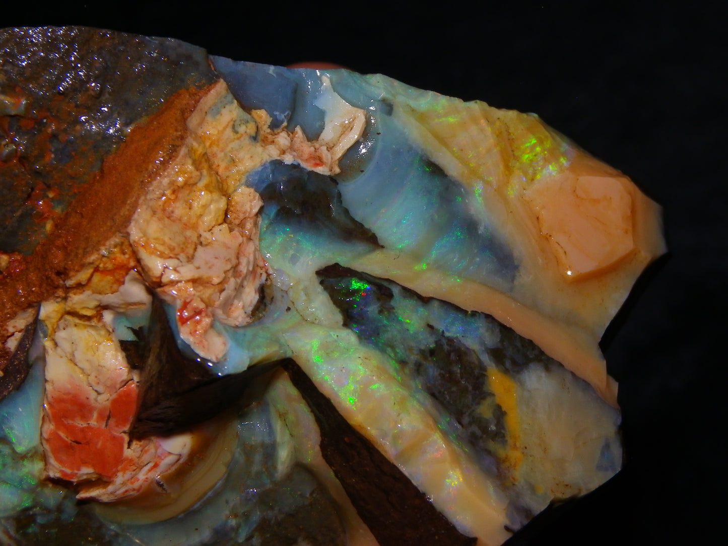 3 Nice Rough/Sliced Boulder Opals 985cts Winton Queensland Blue/Green/Pinks Australia