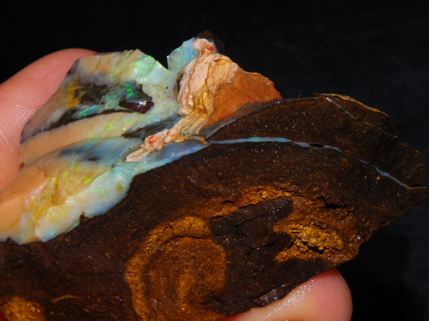 3 Nice Rough/Sliced Boulder Opals 985cts Winton Queensland Blue/Green/Pinks Australia