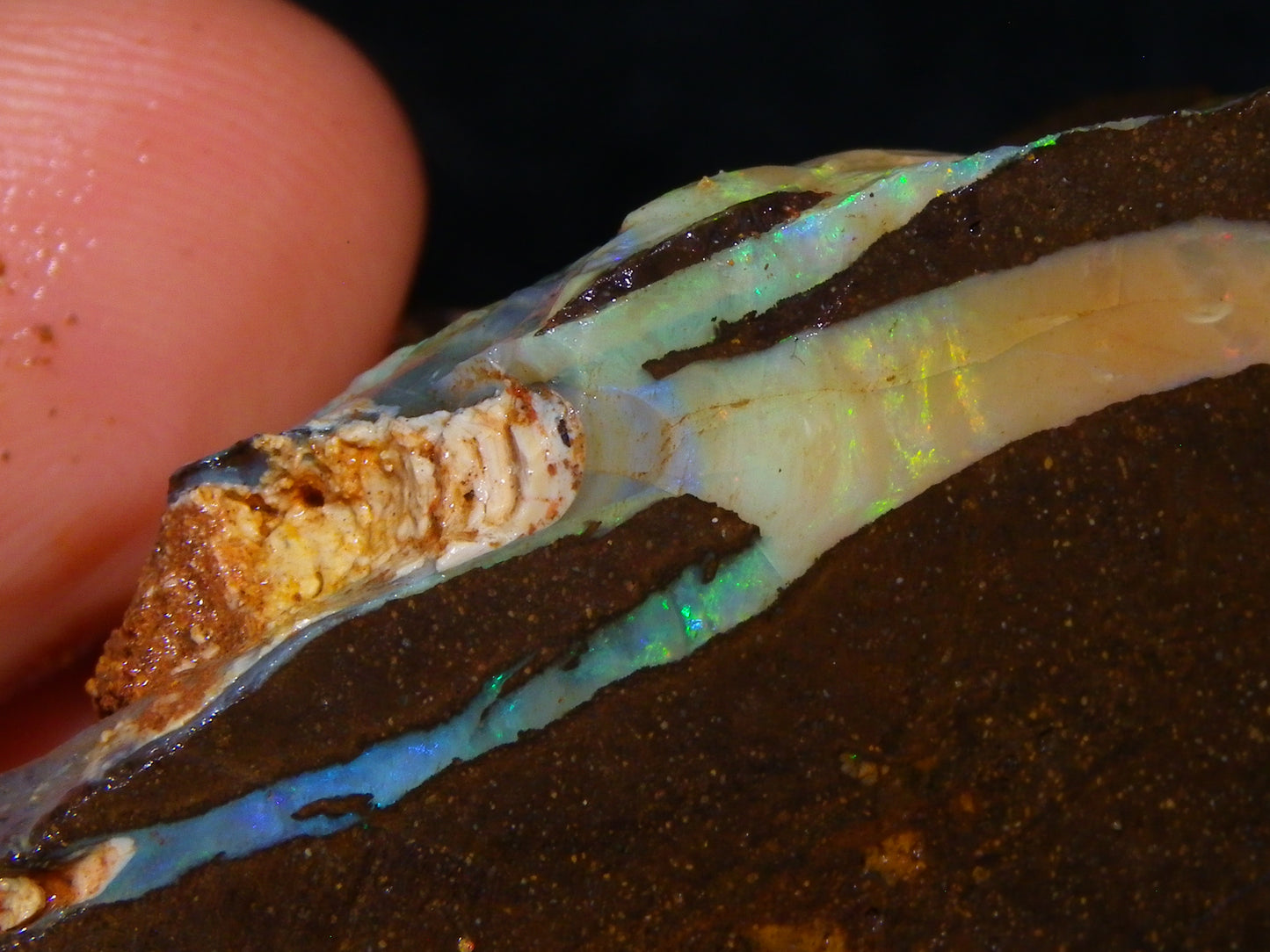 3 Nice Rough/Sliced Boulder Opals 985cts Winton Queensland Blue/Green/Pinks Australia