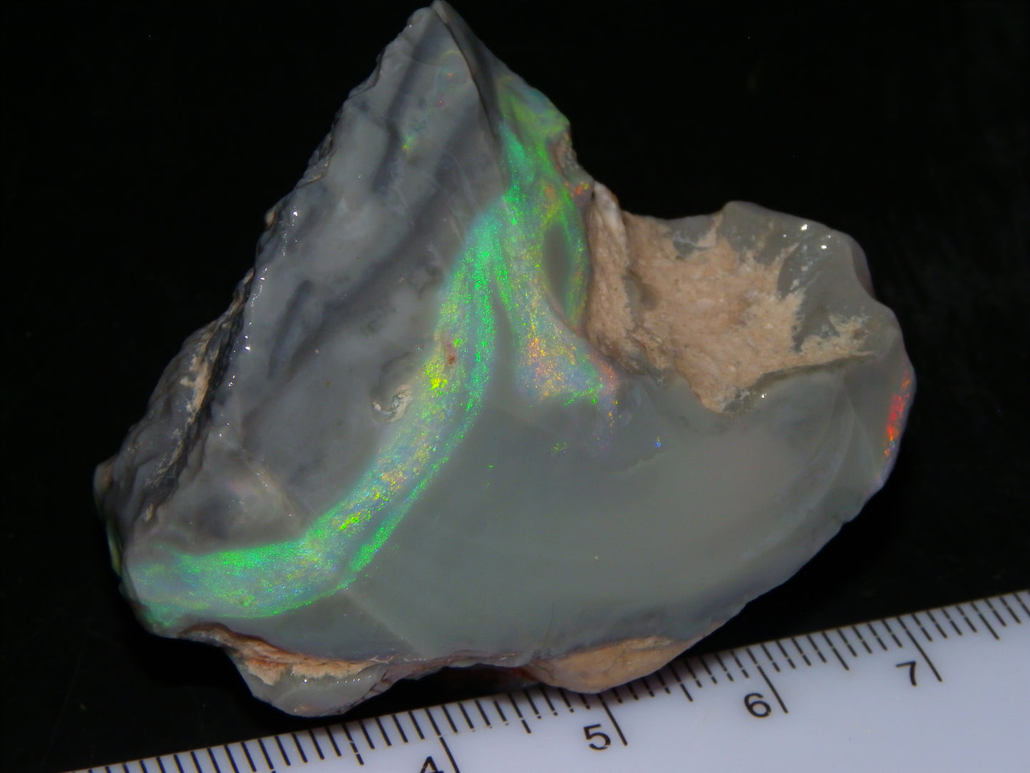 Huge 173.14cts Lightning Ridge Rough Seam Opal Grey Base Multicolour Fires/Bars