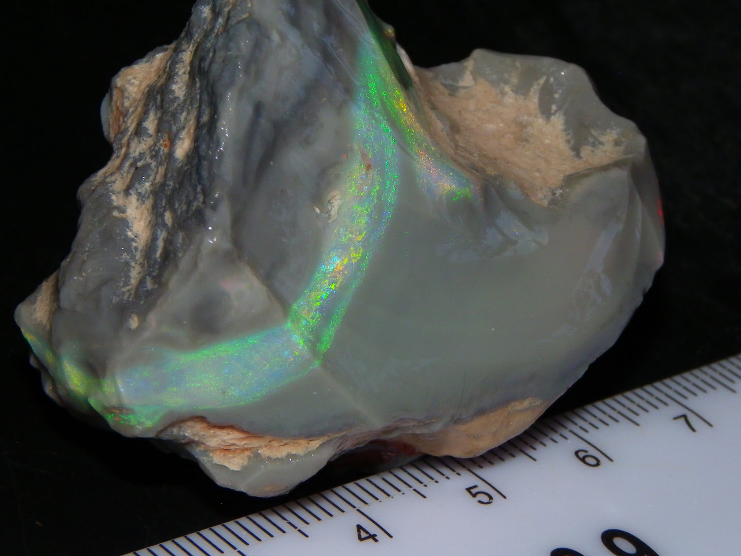 Huge 173.14cts Lightning Ridge Rough Seam Opal Grey Base Multicolour Fires/Bars
