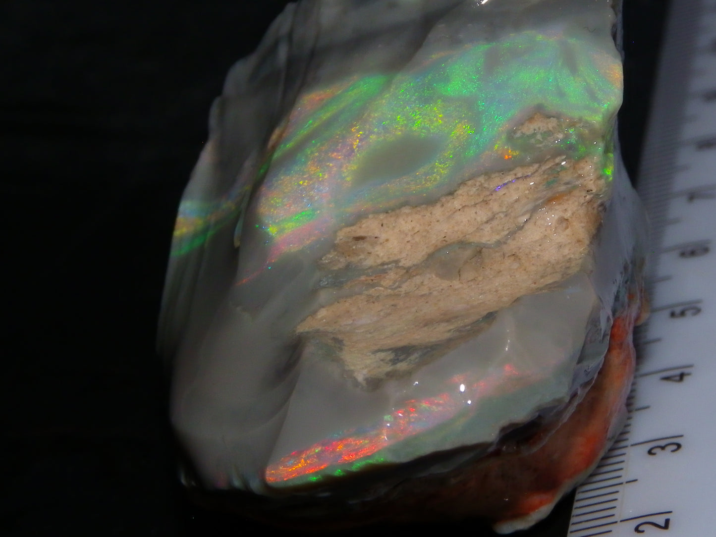 Huge 173.14cts Lightning Ridge Rough Seam Opal Grey Base Multicolour Fires/Bars