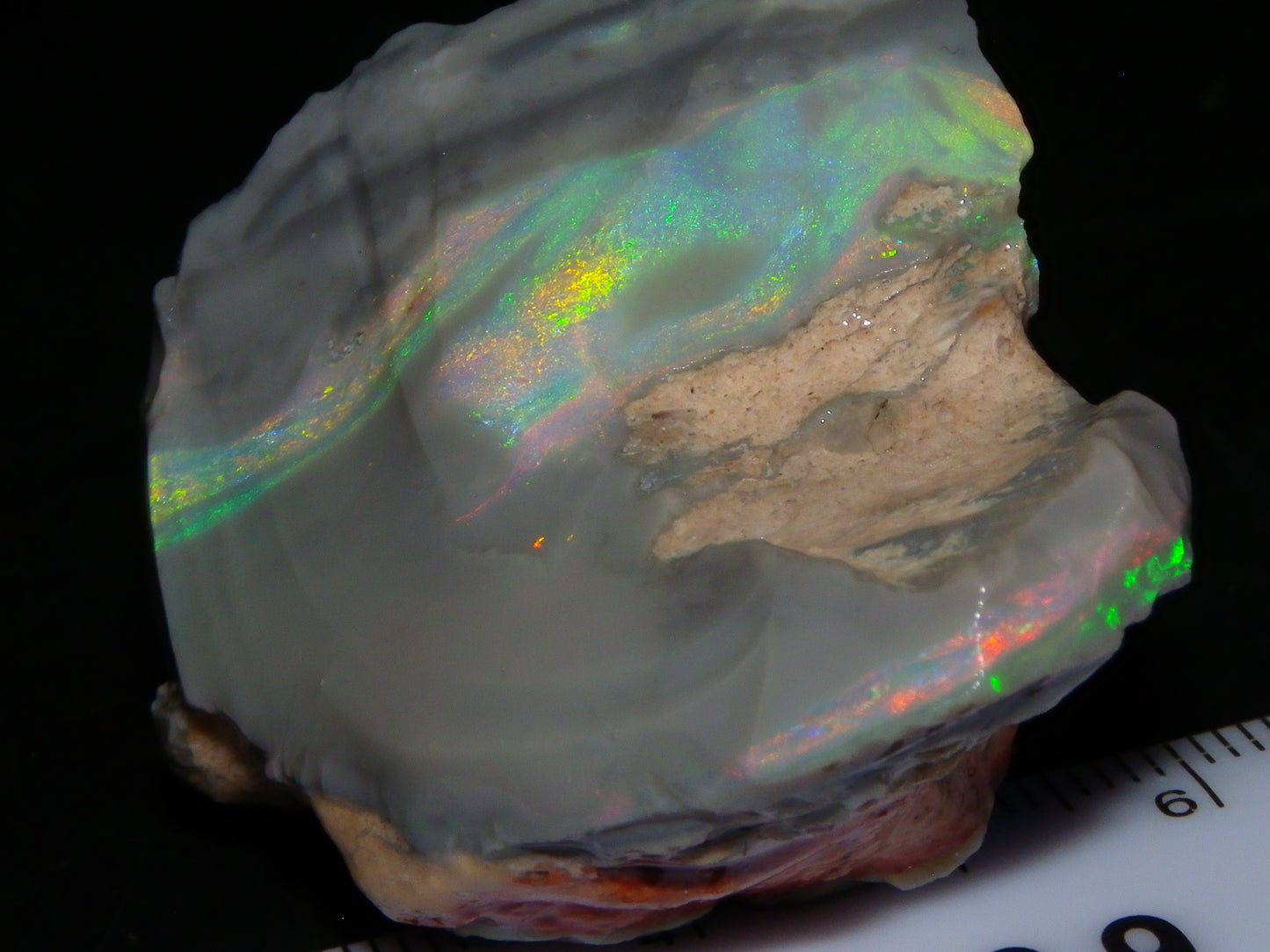 Huge 173.14cts Lightning Ridge Rough Seam Opal Grey Base Multicolour Fires/Bars