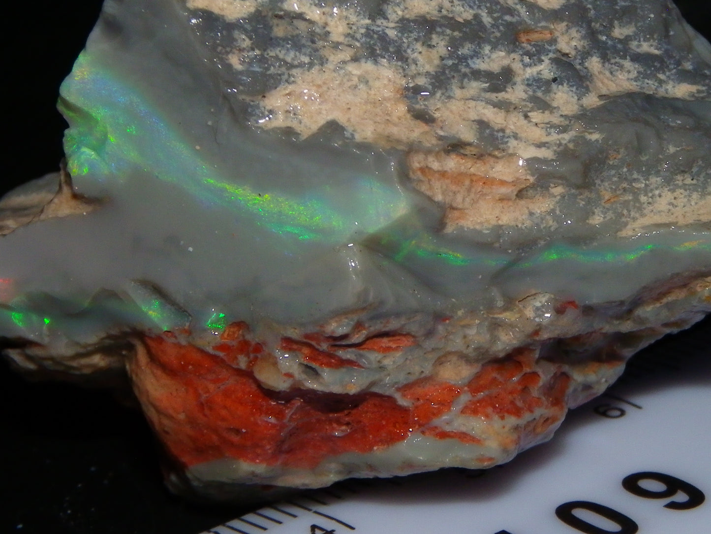 Huge 173.14cts Lightning Ridge Rough Seam Opal Grey Base Multicolour Fires/Bars
