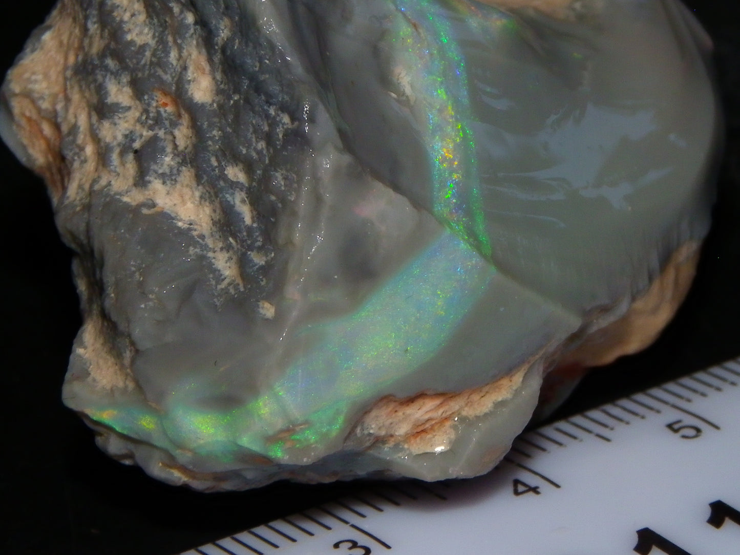 Huge 173.14cts Lightning Ridge Rough Seam Opal Grey Base Multicolour Fires/Bars