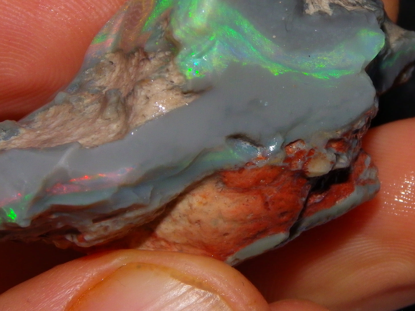 Huge 173.14cts Lightning Ridge Rough Seam Opal Grey Base Multicolour Fires/Bars