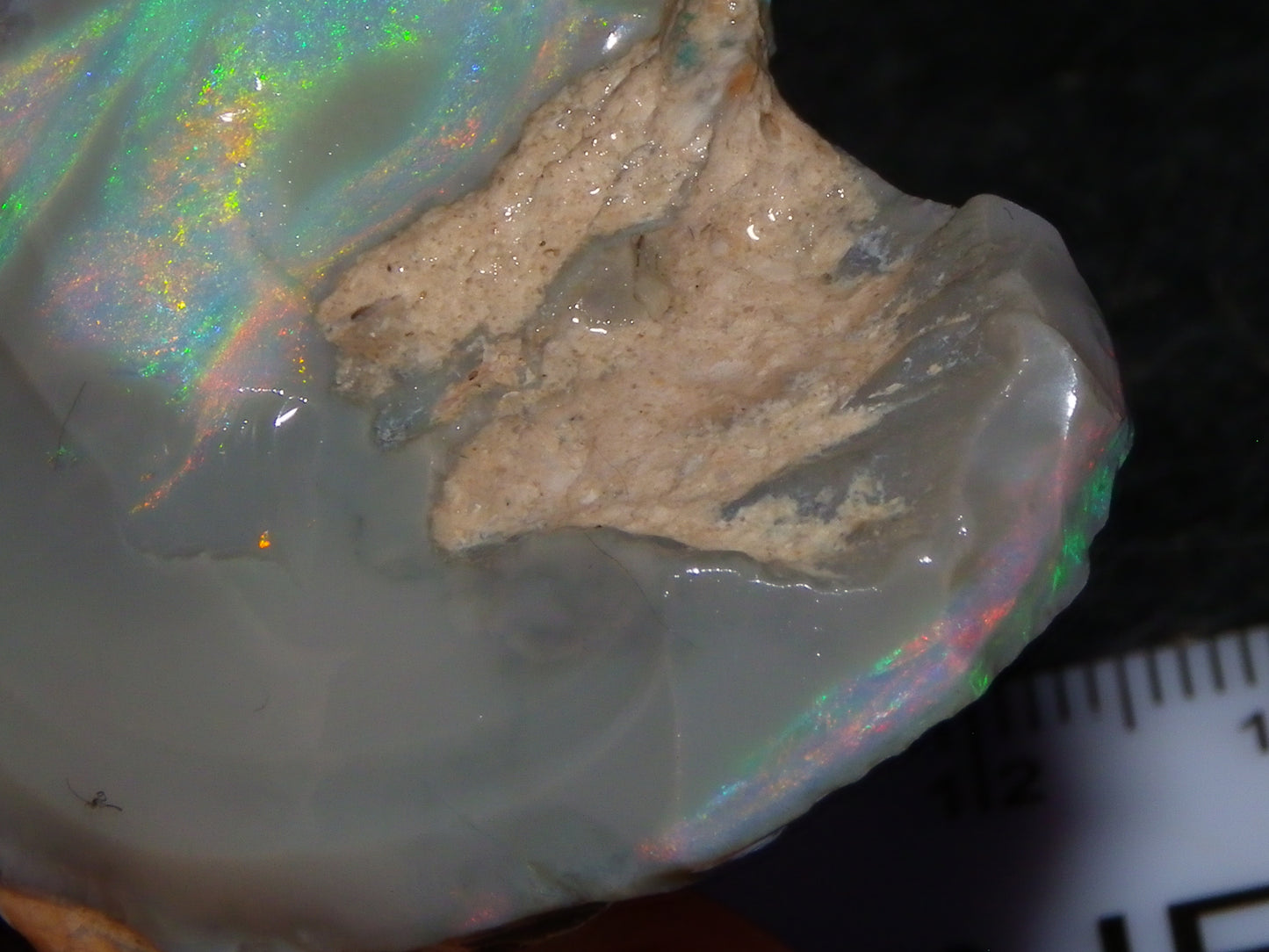 Huge 173.14cts Lightning Ridge Rough Seam Opal Grey Base Multicolour Fires/Bars
