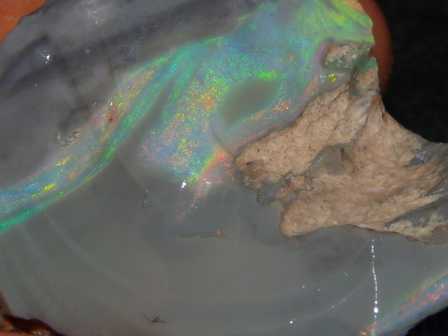 Huge 173.14cts Lightning Ridge Rough Seam Opal Grey Base Multicolour Fires/Bars