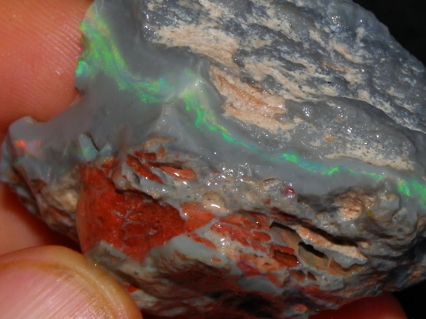 Huge 173.14cts Lightning Ridge Rough Seam Opal Grey Base Multicolour Fires/Bars