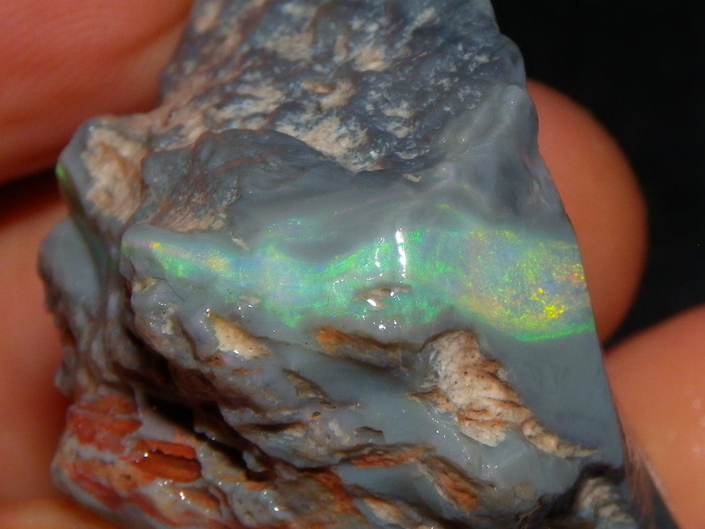 Huge 173.14cts Lightning Ridge Rough Seam Opal Grey Base Multicolour Fires/Bars