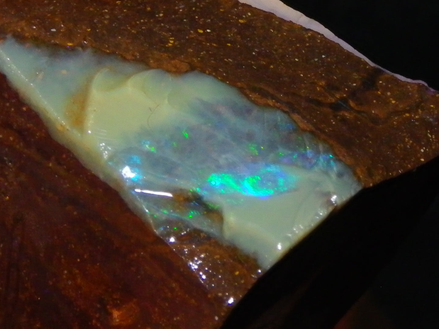 2 Nice Boulder Opal Rough Specimens 400cts Queensland Australia Fires/Patterns