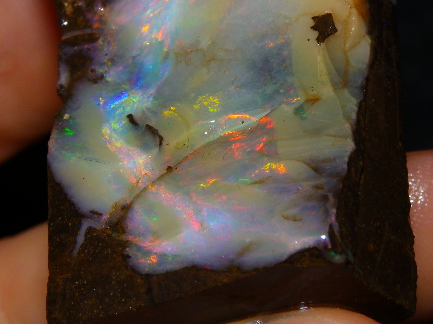 2 Nice Boulder Opal Rough Specimens 400cts Queensland Australia Fires/Patterns