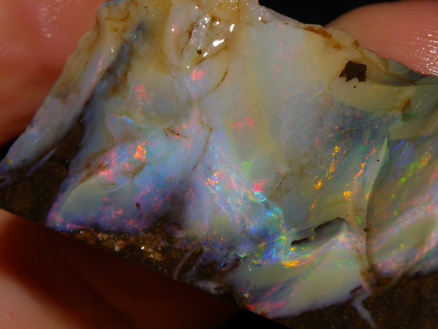 2 Nice Boulder Opal Rough Specimens 400cts Queensland Australia Fires/Patterns