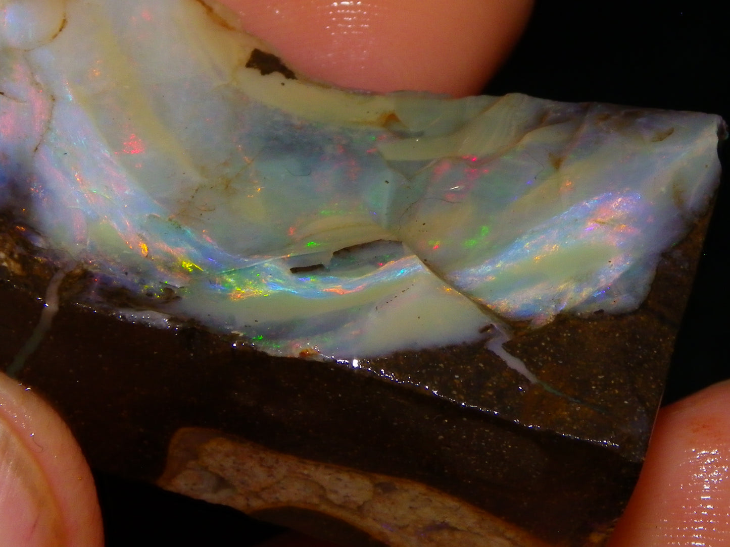 2 Nice Boulder Opal Rough Specimens 400cts Queensland Australia Fires/Patterns