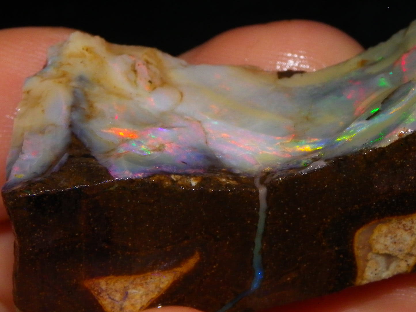 2 Nice Boulder Opal Rough Specimens 400cts Queensland Australia Fires/Patterns