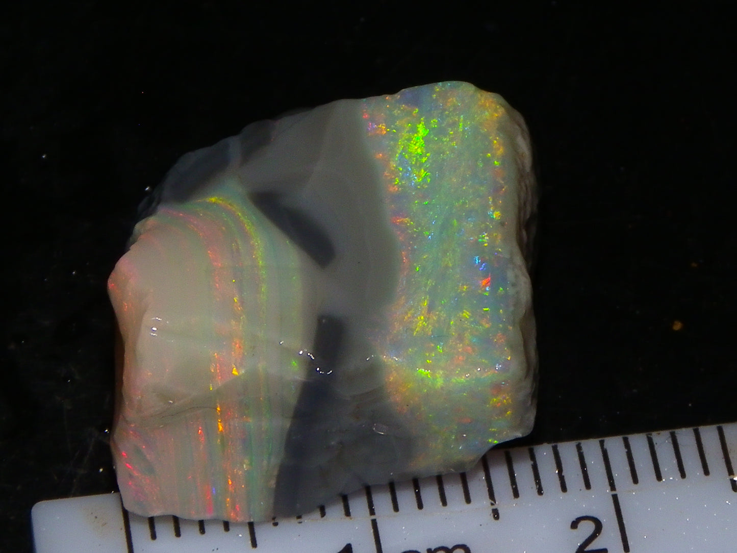 Quality Lightning Ridge Seam Opal Rough Stone 25cts Multicolours 2 Sections